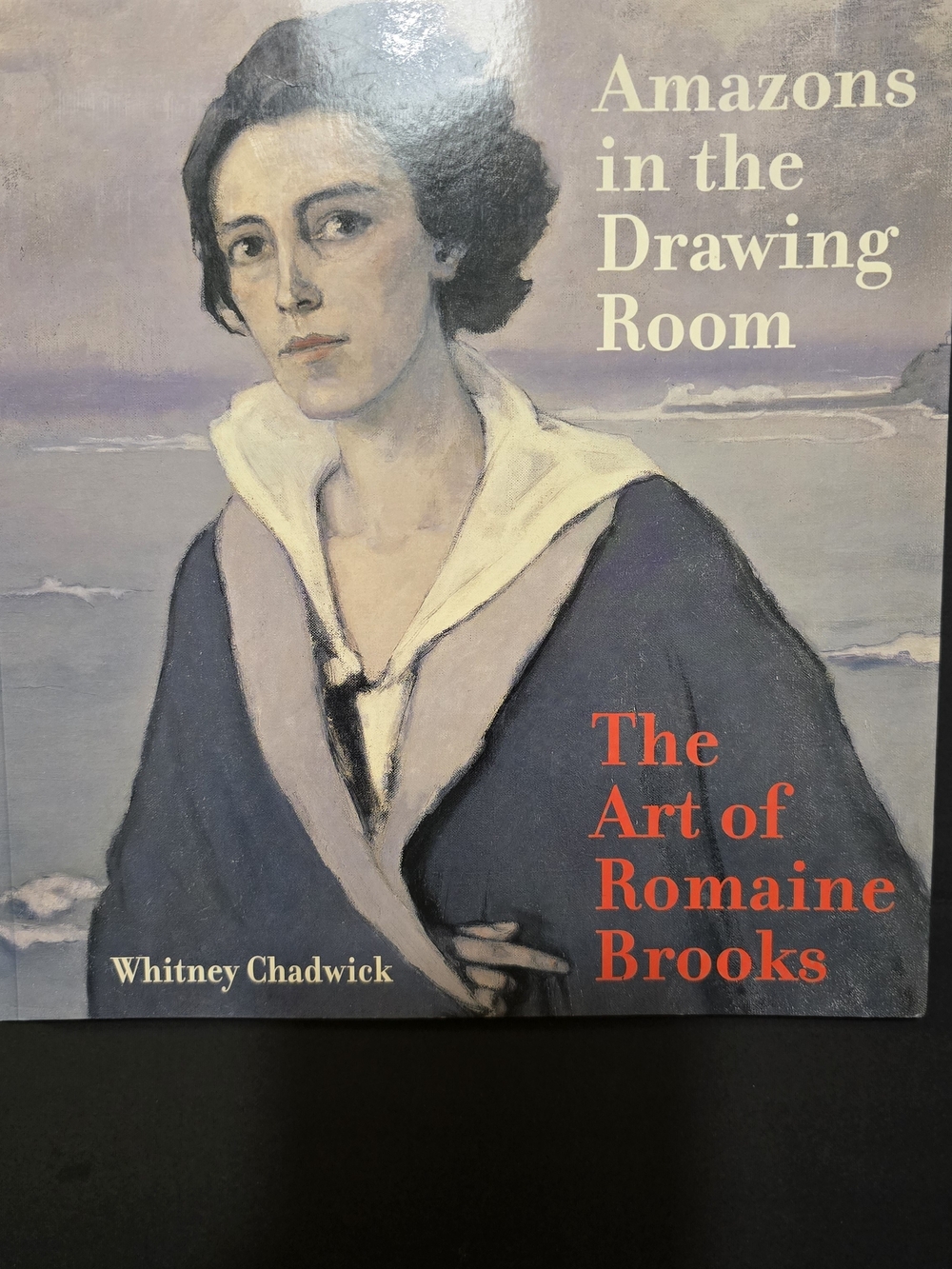 Amazons in the Drawing Room: The A- The Art of Romaine Brooks (Muted Blue Cover)